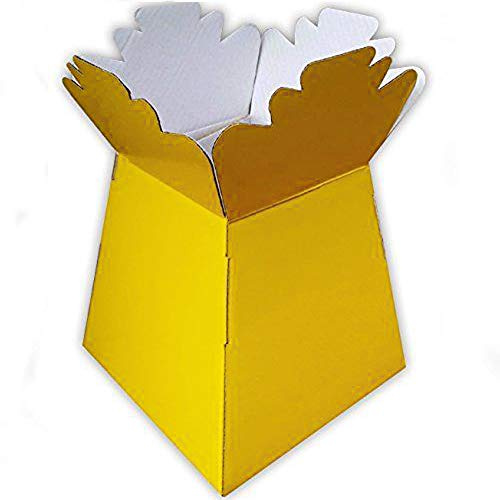 5 x Yellow Florist Aqua Boxes - Living Vases - Hand Tie Boxes