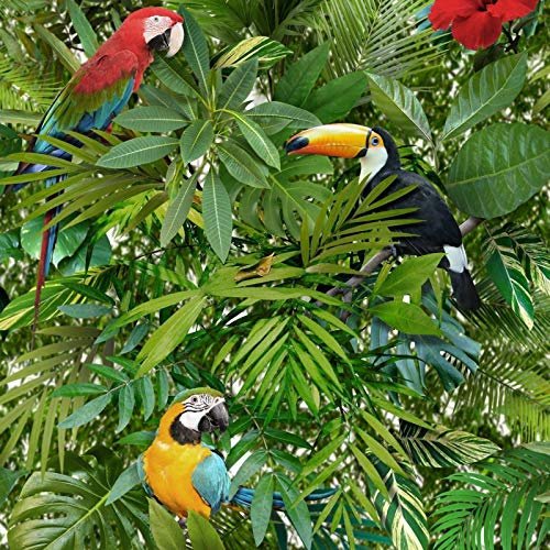 Muriva Tropical Bird Parrot Pattern Wallpaper Jungle Flower Leaves Vinyl L12304