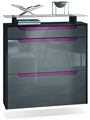 Vladon Zapatero Annie para 16 Pares de Zapatos con 2 Puertas abatibles y Estante de Cristal, Gris de Alto Brillo/Negro Mate (89 x 96 x 23 cm)