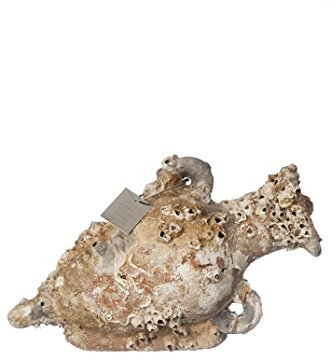 Ánfora Pisa MD2005 22x15cm con Vida Marina única y Exclusiva Decoración Marinera. Decoración hogar, Decoración Jardin, Decoración Exterior, Regalos Originales