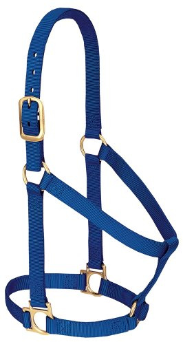 Weaver Leather Basic Halfter für kleine Pferde, Nylon, 2,5 cm, Blau