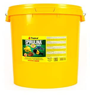 Tropical Super Spirulina Forte Flockenfutter mit 36% Spirulina (Platensis) Anteil, 1er Pack (1 x 21 l)