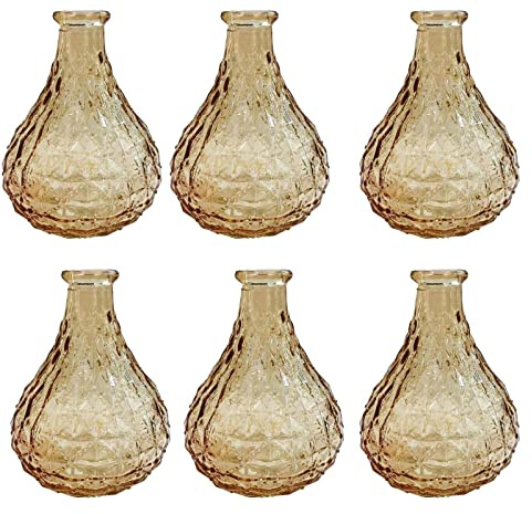 GMMH Dekoflasche Glasflasche 6 Stück Korkenglas Korkengläser Deko Apotheke Flasche Likörflasche Apothekerglas Vintage Glas (hell orange)
