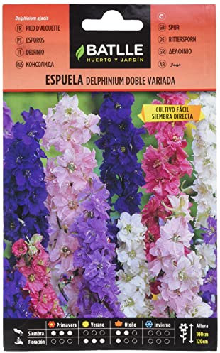 Semi di Fiori – Sperone Delphinium Doppia variata – Batlle
