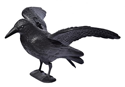 Navyline Flugkrähe zur Vogelabwehr | Kunststoff Krähe mit ausgebreiteten Flügeln gegen Tauben und Möwen | zum Aufstellen oder Aufhängen