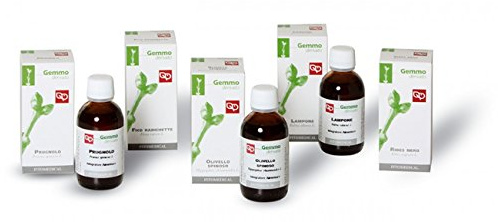 FITOMEDICAL Ribes Nero Gemmoderivato - 50 ml