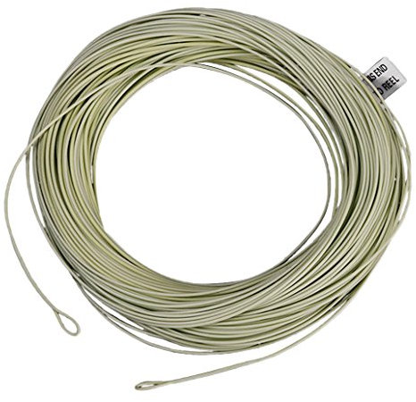 Gewicht Nach Schwimmend Fliegenfischen Linie Schnur Angelschnur Gang 100ft Teal Angehen, Gruen, WF7F