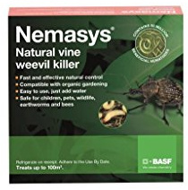 Nemasys Vine Weevil Killer 100 Sq. M, Next-Day Delivery