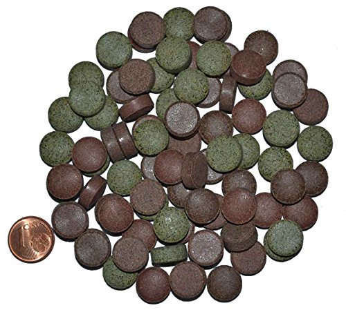 Zierfischtreff Hausmarke Futtertabletten Profimix, 1 kg