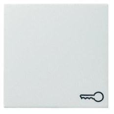 Gira Wippe Schlüssel rws 028727 matt System 55 Abdeckung/Bedienelement für Installationsschalterprogramme 4010337287278
