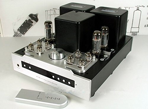 GOWE Amplificateur de lampe à tube intégré avec télécommande de sortie pour casque.