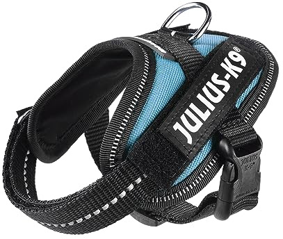 JULIUS Powergeschirr Größe: 3XS / Baby 1 Aquamarine 16IDC-C-0