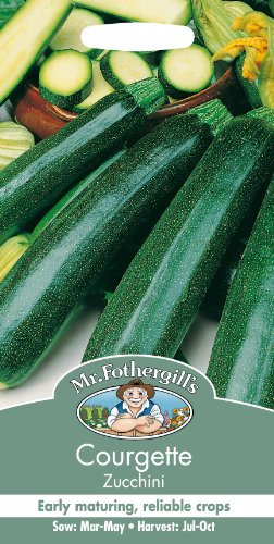 Mr Fothergill's 22097 Vegetable Seeds, COURGETTE Zucchini