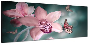 Augenblicke Wandbilder Keilrahmenbild Wandbild 150x50cm Orchideen Schmetterlinge Nahaufnahme