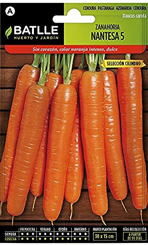 Semillas Batlle – Semi di carota