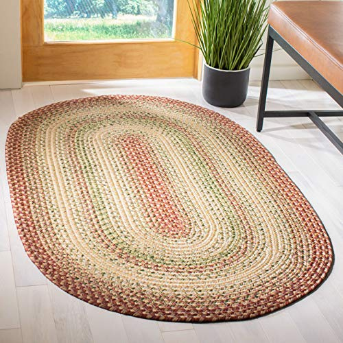 SAFAVIEH Braided Indoor/Outdoor Accent Rug 4x6, Rust & Multi BRD303A