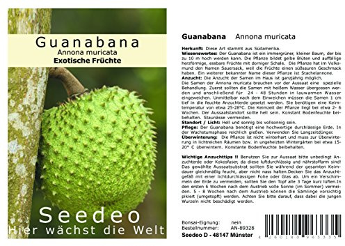 Seedeo® Guanabana Annona muricata 13 Samen
