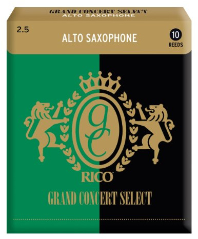 Klarinette altsaxophon Rico grand concert select force 2.5 x10