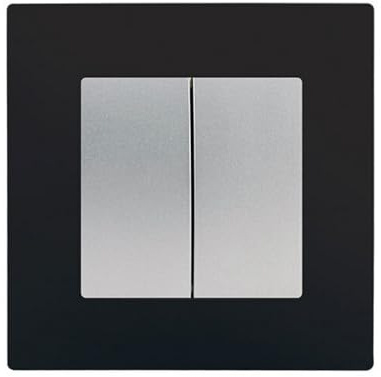 SIEMENS - Double Va et Vient Silver Delta Viva + Plaque Noir