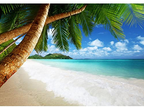 Runa Art Papel tapiz fotográfico Playa y mar palma 352 x 250 cm Lana Fondo De Pantalla XXL Moderna Decoración De Pared Sala Cuarto Oficina Salón Verde azul 9004011b