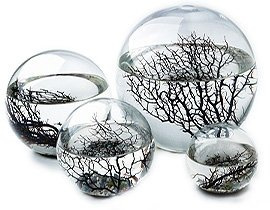 Ecospheres - Das Original (Große Kugel)