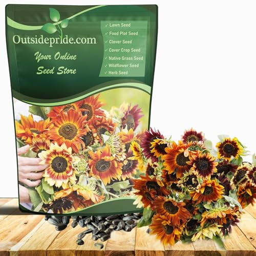 Outsidepride Autumn Beauty Sunflower Seeds for Planting - 1 Lb. Annual, Easy to Grow Flower Seeds w/Vibrant, Abundant Blooms for Cut Flower Arrangements & Pollinator & Vegetable Gardens