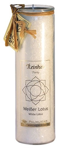Palm Light Chakra Kerze, Weiß, 20 centimeters