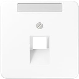 Jung Abdeckung Schriftfeld aws für IAE/UAE-Dose CD 569-1 NAUA WW