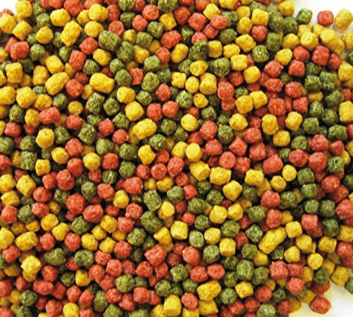 Pondlife Koifutter 15 kg, Allround Teichfischfutter Pellets, Ø 6 mm, 5-Sorten-Mix, Vorratspack für Koi und Teichfische, kompatibel mit gängigen Futterautomaten