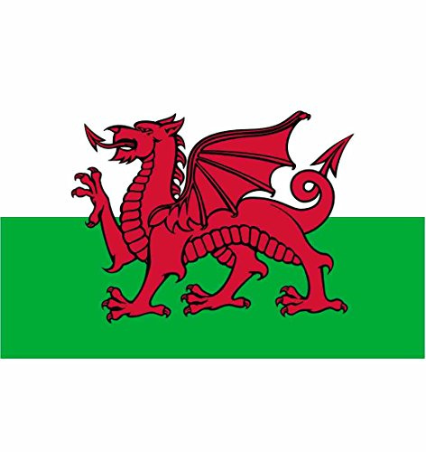 Welsh Dragon National Flag - Multi-Colour