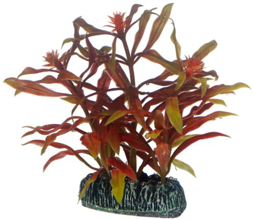 Hobby 51569 Nesaea, 7 cm