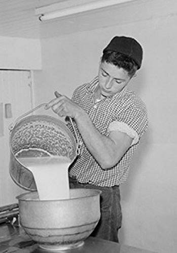 Young man straining milk into milk churn Poster Print (18 x 24)