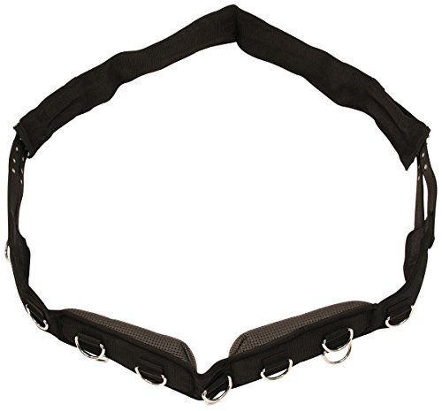 Kerbl 32354 Longiergurt Nylon, 9 Ringe Pony, Verstellbarer Bauchgurt, Schwarz