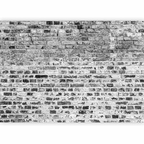 Papier peint Panoramique Intissé Salon, Brique, 350x256 cm