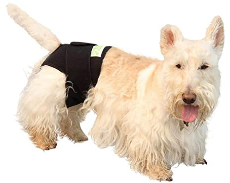 Healers Dog Diaper and Therapeutic Wrap, Small