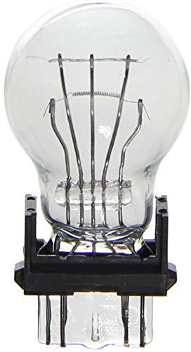 Wagner Lighting BP3157 Standard Multi-Purpose Light Bulb Card of 2