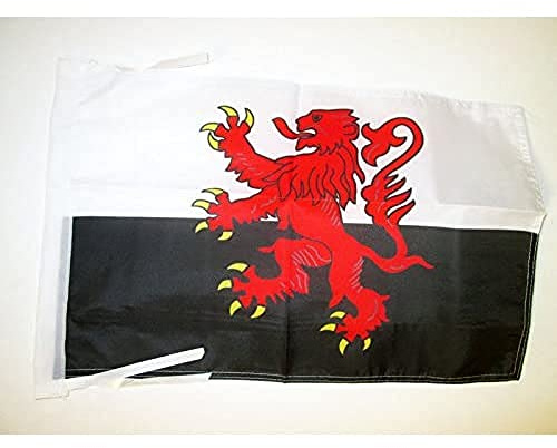 AZ FLAG Drapeau Poitou-Charentes Alternatif 45x30cm - PAVILLON Province du Poitou - France 30 x 45 cm Haute qualité