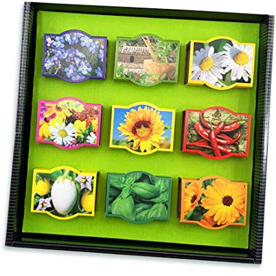 Bull & Bear Mini Pflanzsets Alle Neune, 9 Tontöpfchen mit Erdtablette, Samen und Pflanzanleitung, Geschenkset