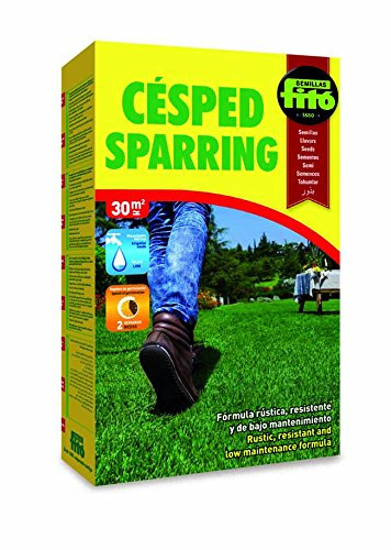 Semillas Fitó 155 155 - Césped Sparring