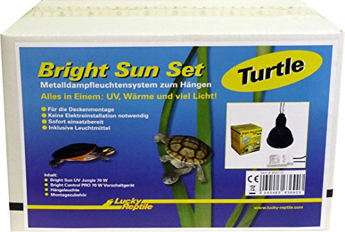 Lucky Reptile Bright Sun Set Turtle