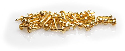 100 mini viti per legno DIN 96 (testa semicircolare con fessura), in ottone, 2 x 10 mm, per modellismo o restauro.