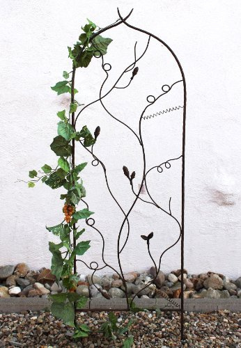DanDiBo rankshjälp JD2-12025 rankgaller av metall höjd 147 cm bredd 41 cm klättringshjälpmedel