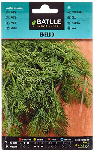 Batlle Kräutersamen - Dill (Samen - 20cm)
