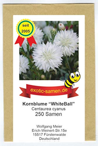 Centaurea cyanus - Bienenweide - Weiße Kornblume White Ball - 250 Samen