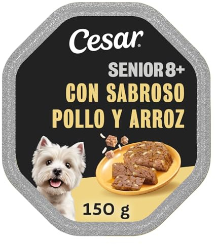 Cesar Nourriture Humide pour Chiens Seniors en pâté avec Poulet et Riz (Lot de 14 Pots x 150 g)