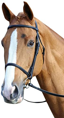 Aviemore Kappzaum-Zaumzeug, Knopfzäumung und Edelstahlbeschläge, Schwarz , Cob