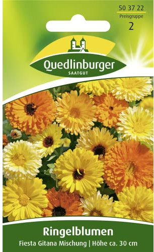 Ringelblume, Fiesta Gitana Mischung