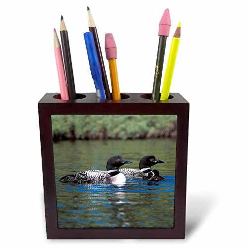 3dRose LLC Family of Three Loons 5-Inch Tile Pen Holder