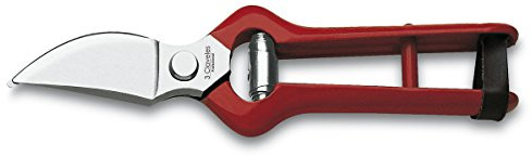 3 Claveles 304 Tijera Podar