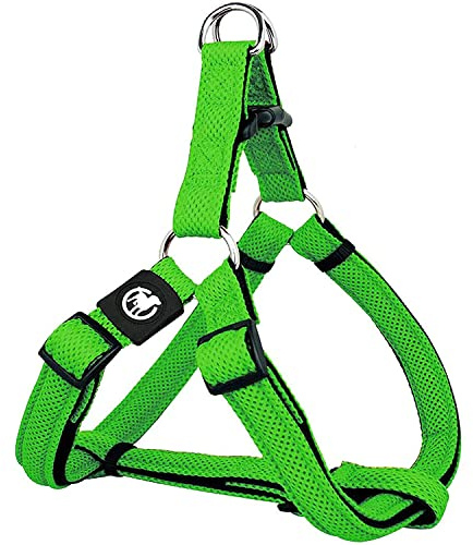 DDOXX Pettorina Cane Step-In Air Mesh, Imbottito, Regolabile | Tanti Colori e Taglie | Per Cani Piccoli Medi e Grandi | Imbracatura Gatti Cuccioli Gatto Taglia Piccola Media Grande | Green, M